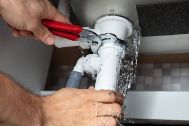  Napervle, IL Water damage restoration Pros