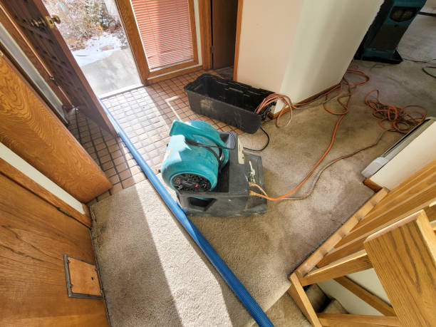 Best Emergency water damage restoration  in Napervle, IL