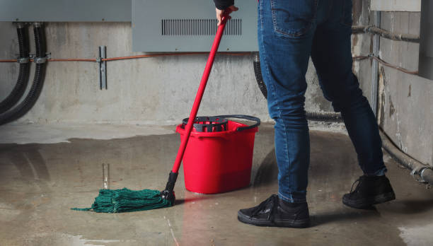 Best Fire Damage Restoration  in Napervle, IL