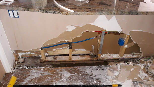 Best Water damage contractors near me  in Napervle, IL