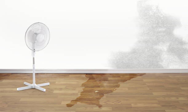 Water damage restoration experts in IL
