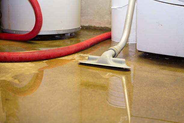 Best Flood damage cleanup  in Napervle, IL