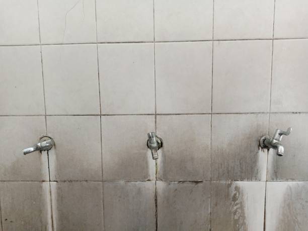 Best Commercial water damage restoration  in Napervle, IL