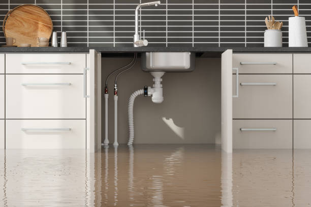 Best Carpet water damage restoration  in Napervle, IL