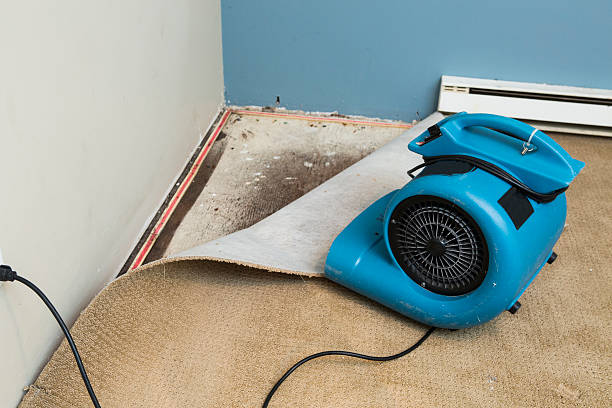Best 24-hour water damage restoration  in Napervle, IL